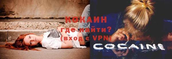 трава Верея