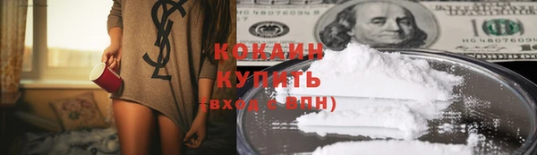 трава Верея