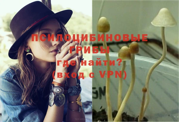 МДПВ Пересвет